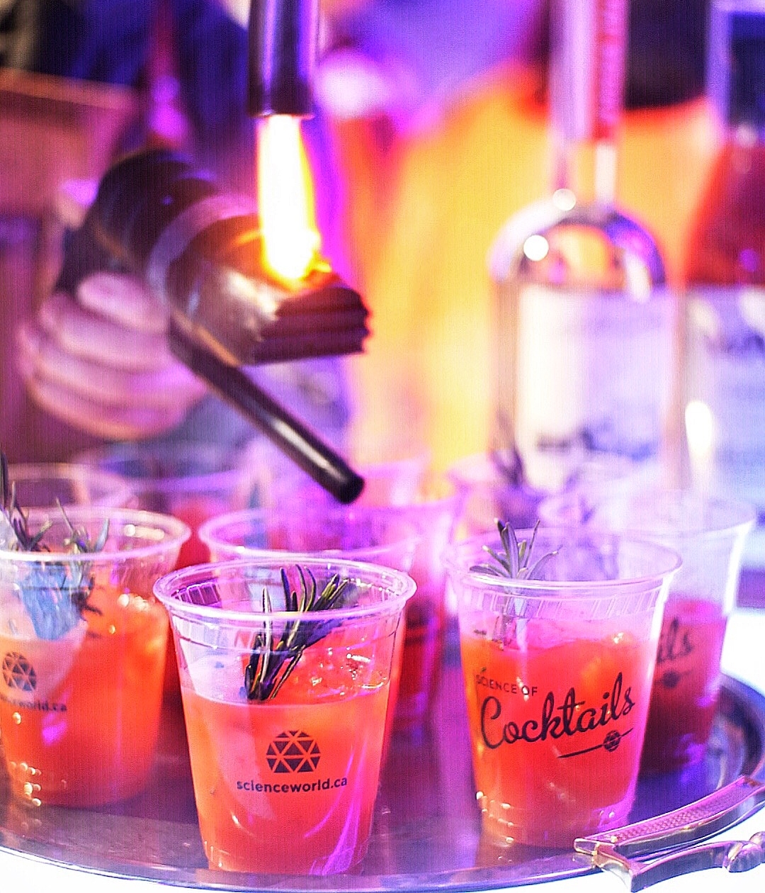 Science of Cocktails 