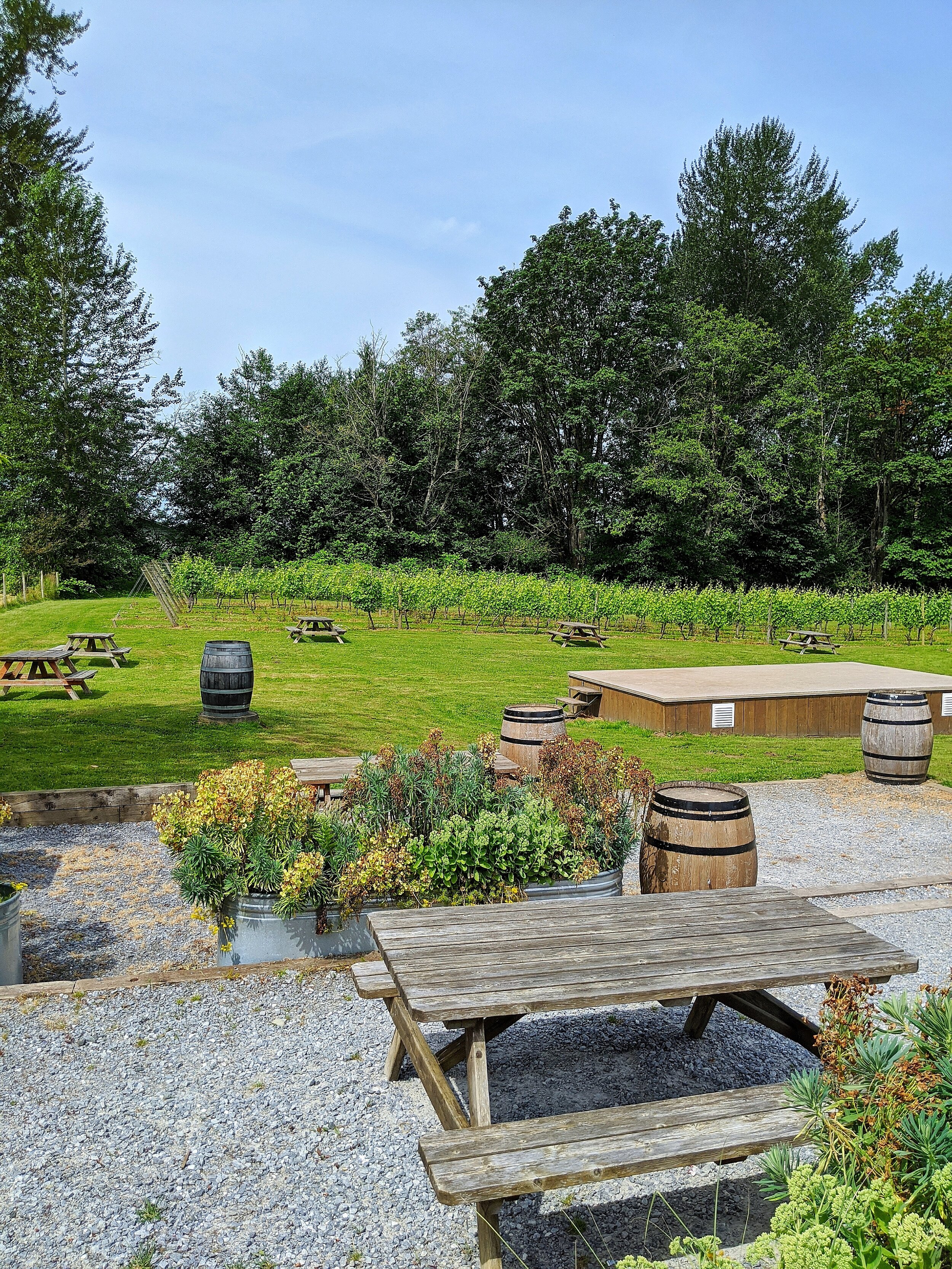 The pretty garden area, with picnic tables for patrons to sip and soak in the beautiful scenery.