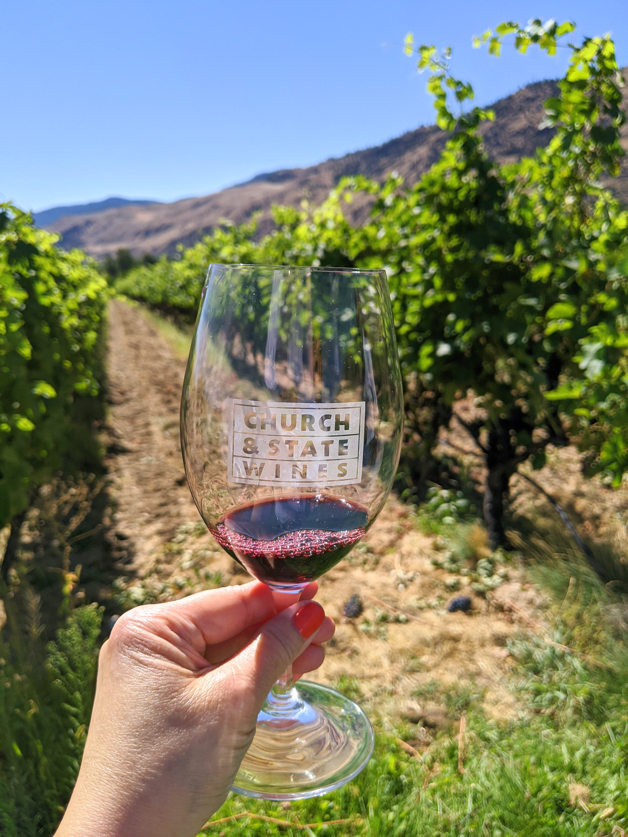 Tasting the delicious 2016 Syrah .