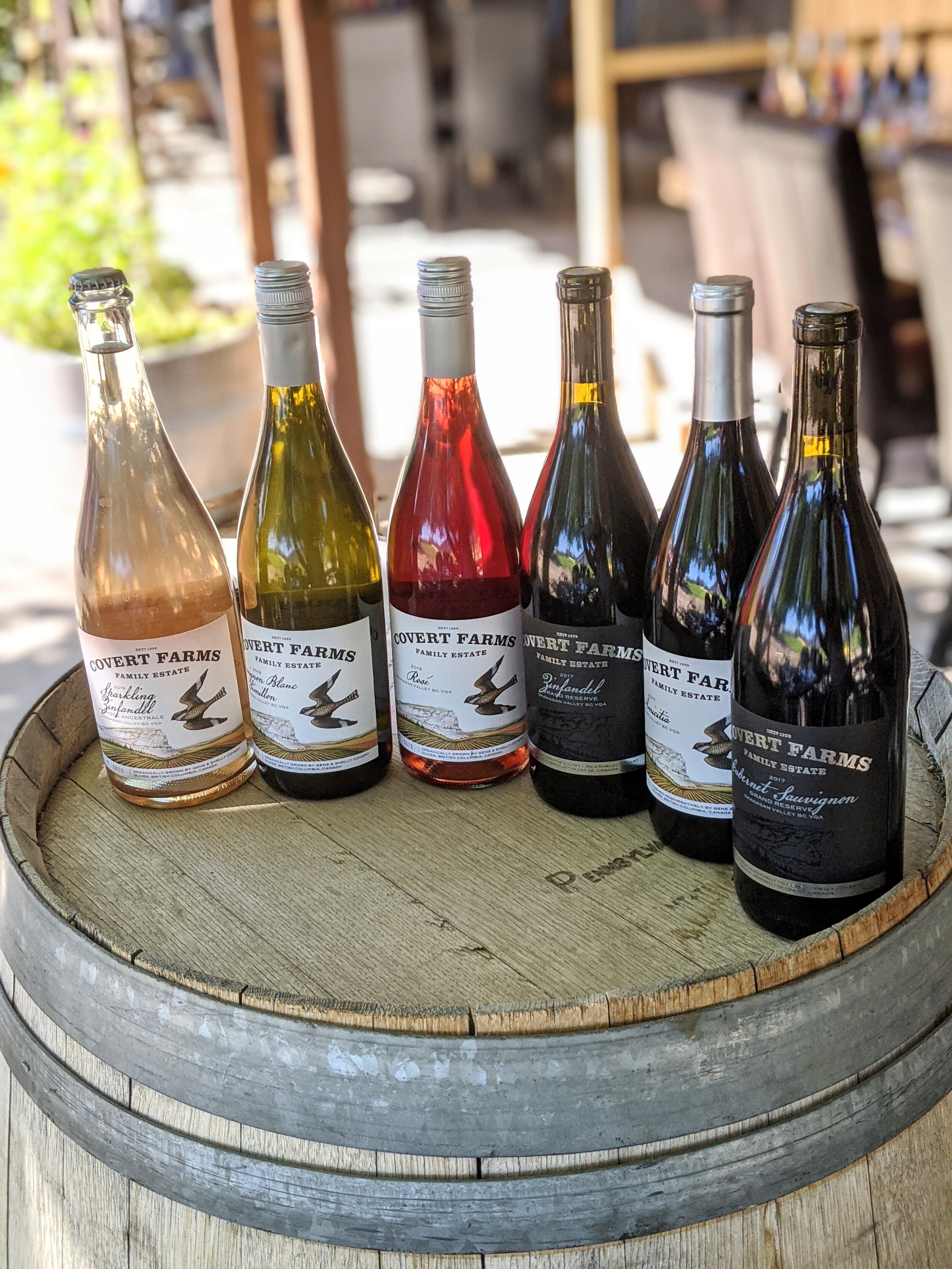 The line up of our wines.