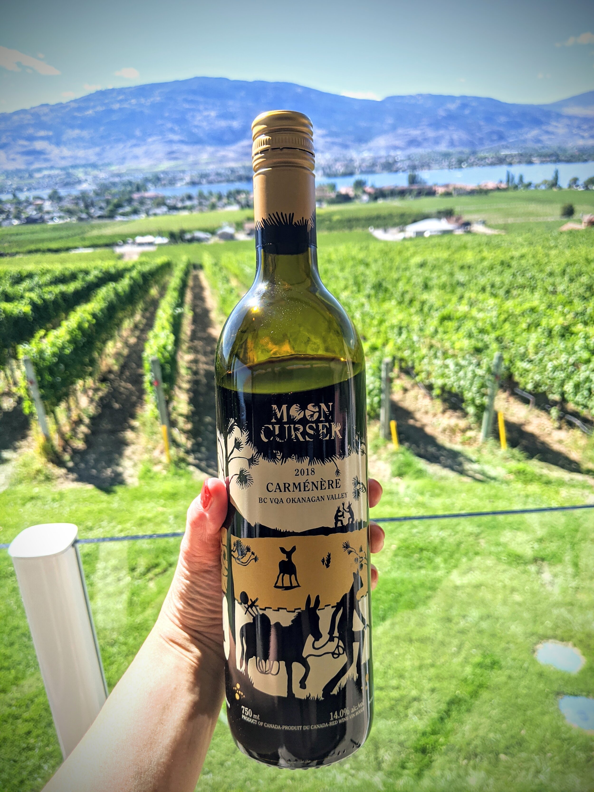 2018 Carménère.